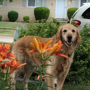 Meet your Posher, Janice